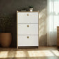 SHOE CABINET WOODEN 60 X 24 X 107MM